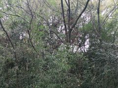 -宁波市保国寺古建筑博物馆