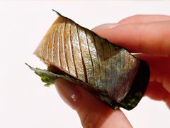 -嶺寿司