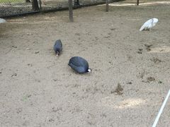 -秦皇岛野生动物园
