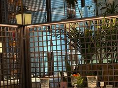 -桂满陇·海市蜃楼·黑金(国金店)