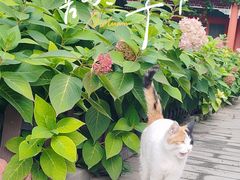 -北京石刻艺术博物馆(五塔寺)