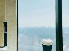 -上海嘉定喜来登酒店