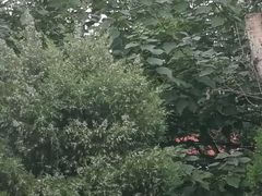 -中国政法大学(昌平校区)