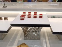 -田素(稻田创业小镇店)