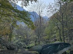 -莲峰云海景区