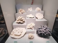 -天津自然博物馆