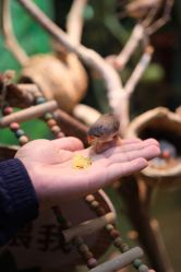 -Zoolung Zoolung动物主题公园(海信广场店)