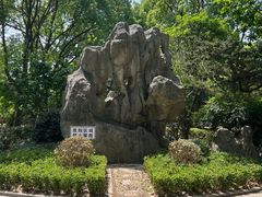 -南汇桃花村