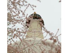 -北海公园
