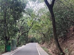 -东湖落雁景区
