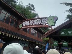 -野象谷景区