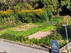 -延安杨家岭革命旧址