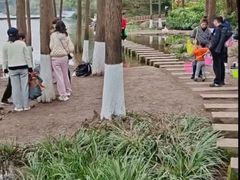 -重庆彩云湖湿地公园
