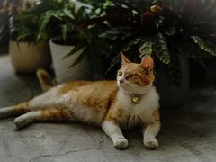 -隹木咖啡馆(宝龙广场店)