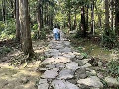-冶父山国家森林公园