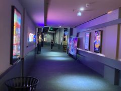 -华隶影城CINITY120帧(华创店)