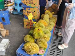 -海吉星市场