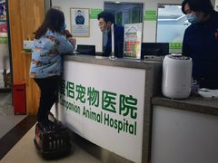 -爱侣宠医·鹦鹉专科·小型哺乳类·异宠专科(灵石路店)