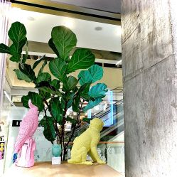 -Y-STUDIO原理