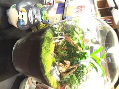 iphone_upload_pic-妈妈的味道(工人体育场东路店)