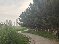 -前关湿地公园