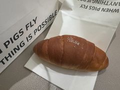 -WHEN PIGS FLY当猪飞