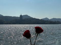 -柳莺湖上·湖景餐厅·江南菜(西湖店)