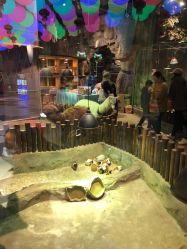 -宝燕乐园(闵行旗舰店)