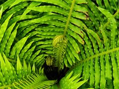 -国家植物园南园