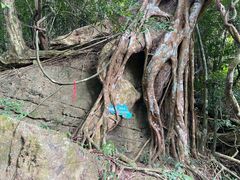 -七仙岭温泉国家森林公园