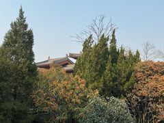 -华清宫景区