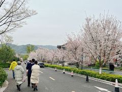 -径山寺
