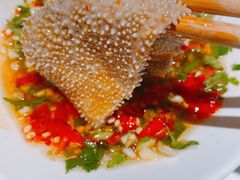 鲜毛肚-蜀九香火锅(玉林店)