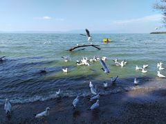-捞渔河湿地公园