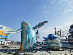 -海合安青岛极地海洋公园