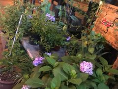 -老地方猫儿面(磁器口店)