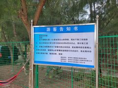 -杨梅坑