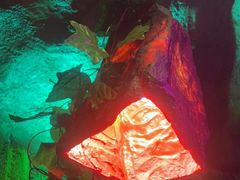 -醉小酒馆·川菜·江湖菜·重庆菜(观音桥旗舰店)