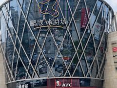 -鹏欣水游城