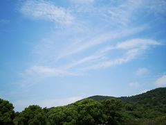 -雨花胜境