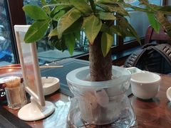 -七菜馆·东北菜·蒸饺(文体路店)