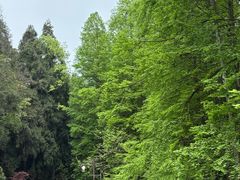 -山王坪喀斯特国家生态公园