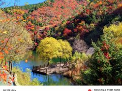 -九如山休闲旅游度假区