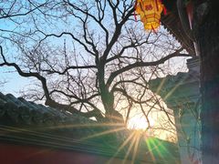 -红螺寺
