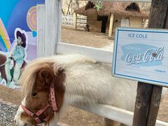 -博山九龙峪风景区