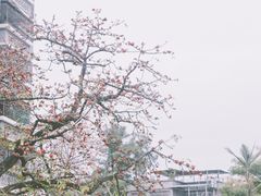 -黄埔古港