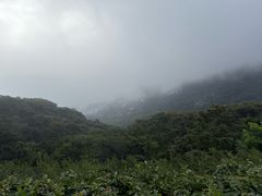 -沂蒙山旅游区云蒙景区(蒙山国家森林公园)