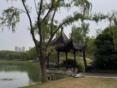 -尚贤河湿地