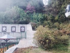 -苍山感通索道