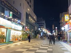 -宝健路步行街(Pedestrian Shopping Street)